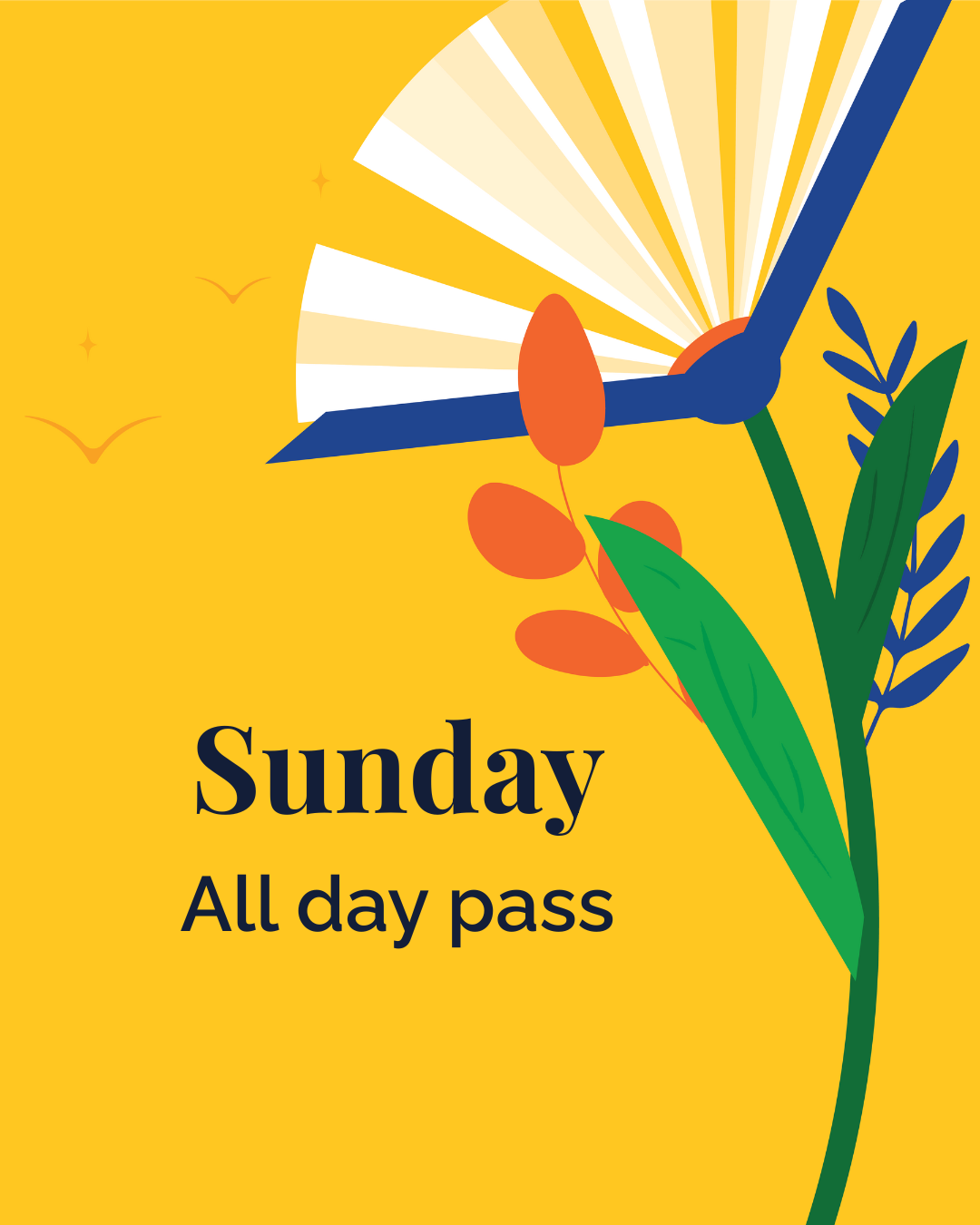 Sunday All  Day Pass